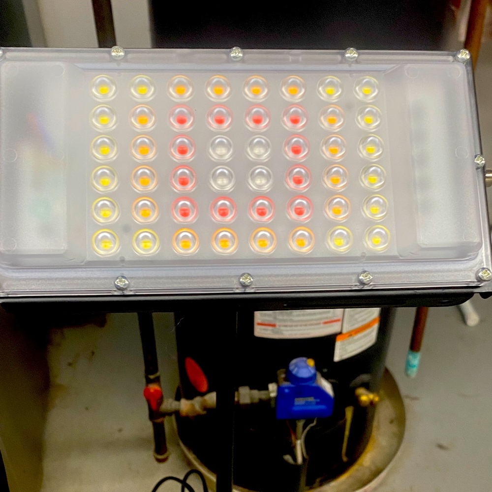 Adjustable 30 watt LED full spectrum grow light